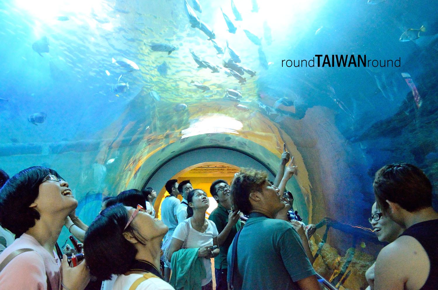 National_Museum_of_Marine_Biology___Aquarium________-023.jpg