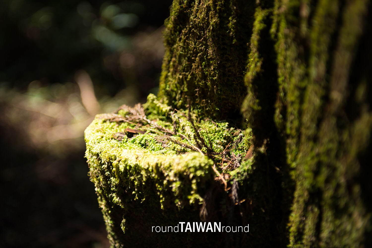 Erwanping______-003.jpg